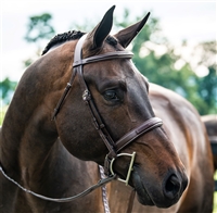 Hunter Collection Bridle with wide noseband with padding