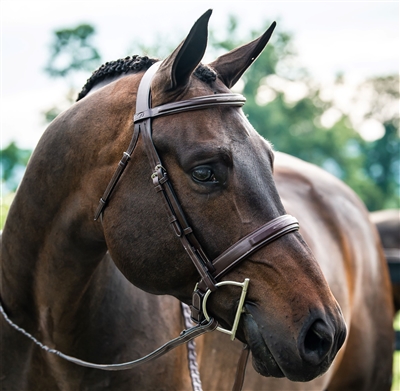 Hunter Collection Bridle with wide noseband with padding