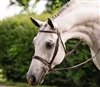 Hunter Collection Bridle with wide noseband (no padding)