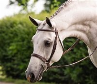Hunter Collection Bridle with wide noseband (no padding)