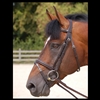 Working Collection "Classic" Flash Noseband Bridle
