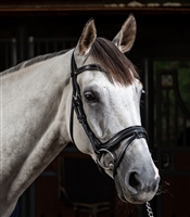 Working Fit Bridle