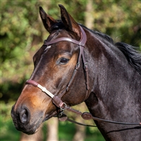 Working Collection Bitless Bridle
