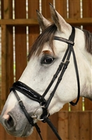 Working Collection Dressage Large Crank Noseband Bridle