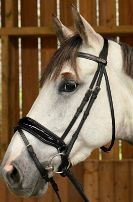 Working Collection Dressage Large Crank Noseband Bridle