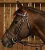 Working Collection Fancy Flash Noseband Bridle