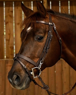Working Collection Flat Flash Bridle With Snaps