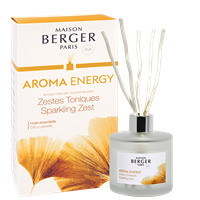 Bouquet Diffuser Aroma Energy Sparkling Zest