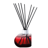 Bouquet Diffuser Alliance Red with Orange Cinnamon