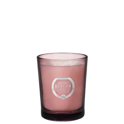 Duality Plum Candle Black Angelica