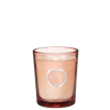 Riviera Grapefruit Candle Tonic Lemon