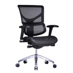 BodyFit Easy Spec Line Ergonomic Seating