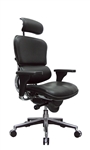 ErgohumanLeather