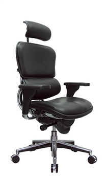 ErgohumanLeather