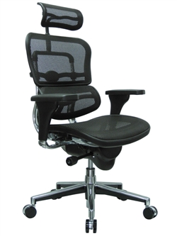 Ergohuman Mesh Ergonomic Office Chair