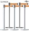 Tensabarrier Slimline 890U Chrome 12-Pack