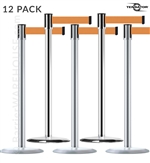 Tensabarrier Slimline 890U Chrome 12-Pack