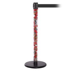 QueuePro 250 Clear, Polished Brass, Barrier with transparent tube 11' Dark Gray Belt