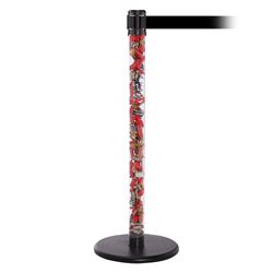 QueuePro 250 Clear, Satin Stainless, Barrier with transparent tube 11' Black Belt