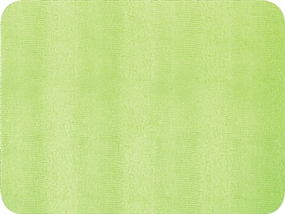 Green Lizard Felt-Backed Placemat by Caspari