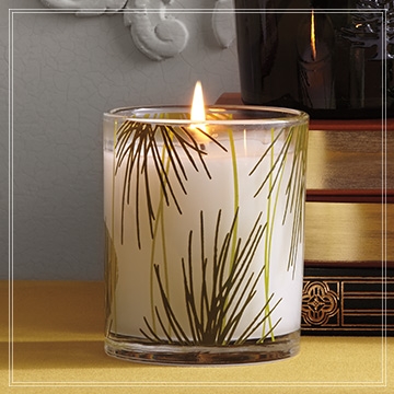 Frasier Fir Pine Needle Candle by Thymes