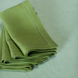 EMI Rain Forest Green Napkin by Linen Me