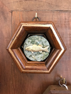 Trout with Wooden Frame by Museum Bees