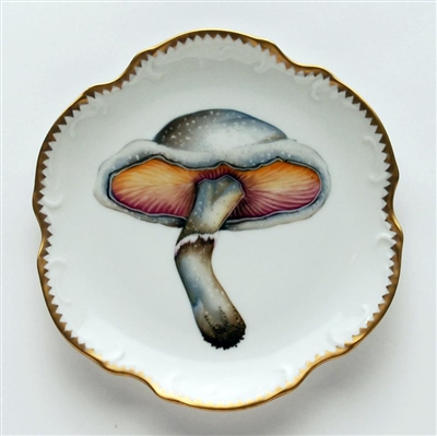 Mushroom #1 Hors D'Oeuvre Plate by Anna Weatherley