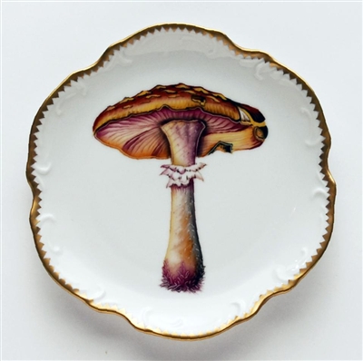 Mushroom #2 Hors D'Oeuvre Plate by Anna Weatherley