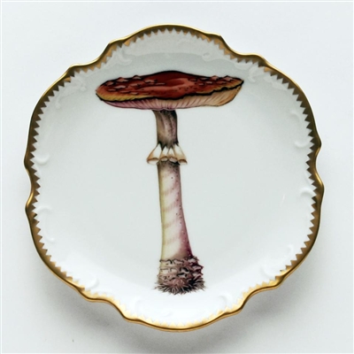 Mushroom #6 Hors D'Oeuvre Plate by Anna Weatherley