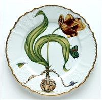 Flowers of Yesterday Yellow Red Tulip Dinner Plate by Anna Weatherley