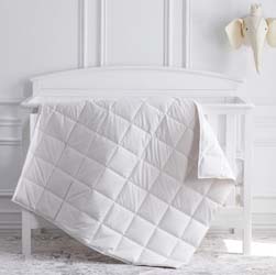 Siesta European White Goose Down Crib Comforter by Scandia Home
