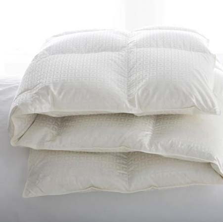 Luxembourg Siberian Creme Goose Down Comforter by Scandia Home