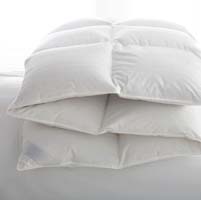 Lucerne Hungarian White Goose Down Comforter by Scandia Home