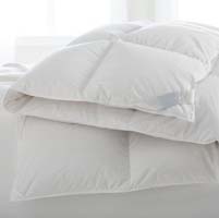 Salzburg Polish White Goose Down Comforter by Scandia Home