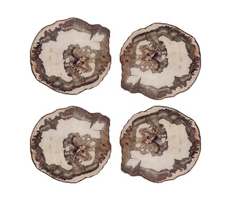 Petrified Wood Coaster (Set of 4) by Kim Seybert