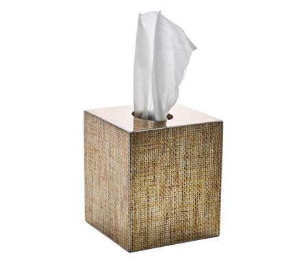 Angkor Tissue Box by Kim Seybert