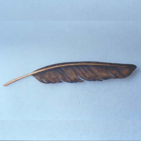 Eagle Feather by Grainger McKoy