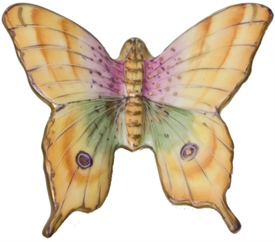 Flights of Fancy Butterfly # 7 by Anna Weatherley