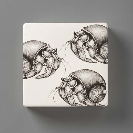 Hermit Crab Wall Box by Laura Zindel Design