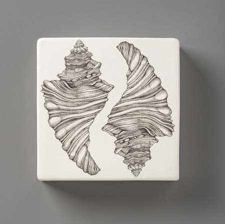 Neptune Shell Wall Box by Laura Zindel Design