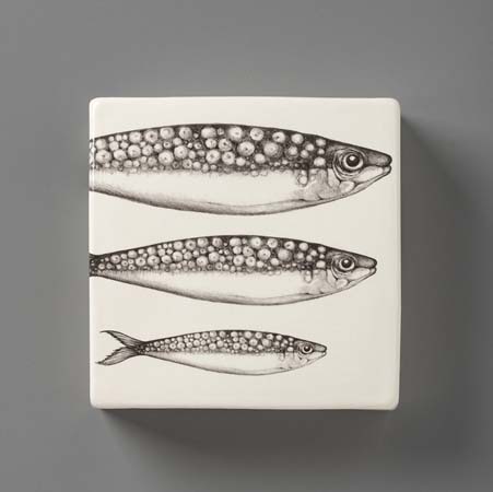 Sardines Wall Box by Laura Zindel Design