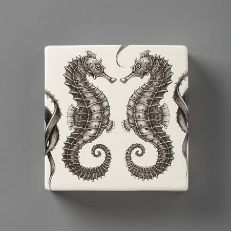 Seahorse Wall Box by Laura Zindel Design