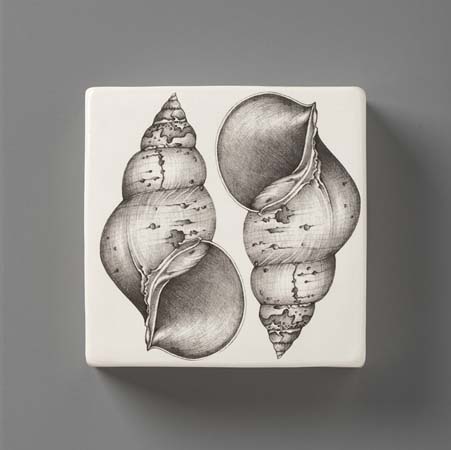 Snail Shell Wall Box by Laura Zindel Design