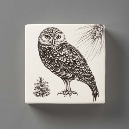 Burrowing Owl Wall Box by Laura Zindel Design