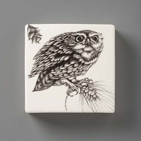 Screech Owl #2 Wall Box by Laura Zindel Design