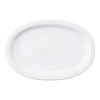 Puro Whitewash 16" Platter by Juliska