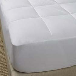 Bergen Down-Free White Mattress Pad by Scandia Home