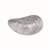 Large Mussel Platter by Mariposa