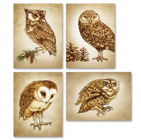Owls Note Cards by Laura Zindel Design